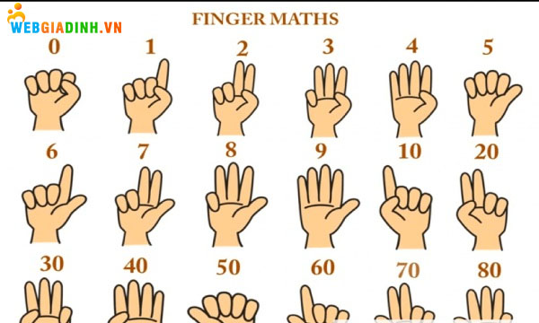 Phương pháp toán học Finger Math